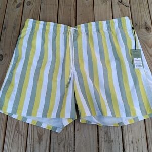 New Men's Goodfellow & Co Green & White Stripped Lined Swim Trunks Size XXL